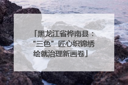 黑龙江省桦南县：“三色”匠心织锦绣 绘就治理新画卷