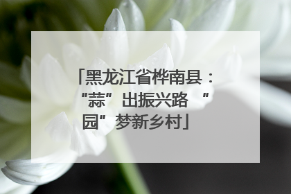 黑龙江省桦南县：“蒜”出振兴路 “园”梦新乡村