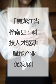 黑龙江省桦南县：科技人才驱动 赋能产业促发展