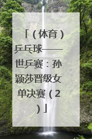 （体育）乒乓球——世乒赛：孙颖莎晋级女单决赛（2）
