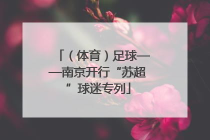 （体育）足球——南京开行“苏超”球迷专列