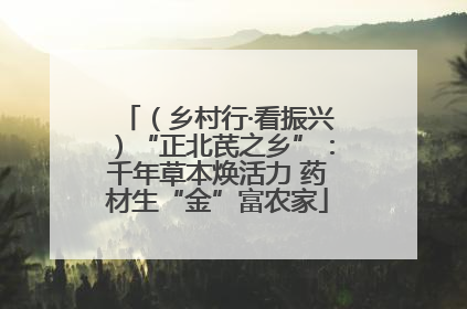 （乡村行·看振兴）“正北芪之乡”：千年草本焕活力 药材生“金”富农家