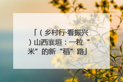 （乡村行·看振兴）山西襄垣：一粒“米”的新“稻”路