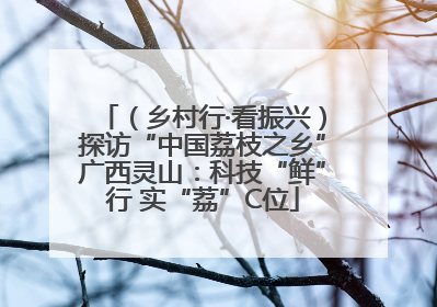 （乡村行·看振兴）探访“中国荔枝之乡”广西灵山：科技“鲜”行 实“荔”C位