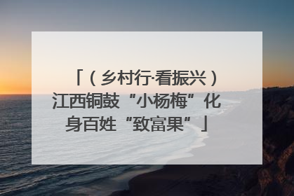 （乡村行·看振兴）江西铜鼓“小杨梅”化身百姓“致富果”
