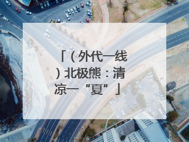 （外代一线）北极熊：清凉一“夏”