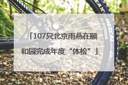 107只北京雨燕在颐和园完成年度“体检”