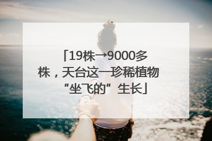19株→9000多株，天台这一珍稀植物“坐飞的”生长