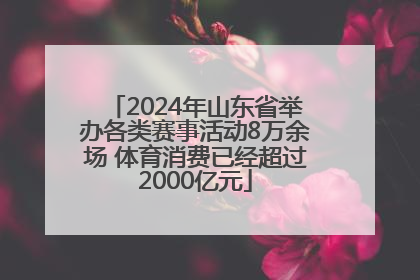 2024年山东省举办各类赛事活动8万余场 体育消费已经超过2000亿元