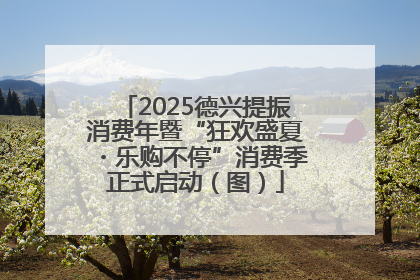 2025德兴提振消费年暨“狂欢盛夏・乐购不停”消费季正式启动（图）