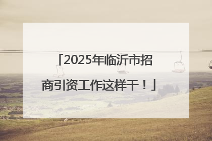 2025年临沂市招商引资工作这样干！