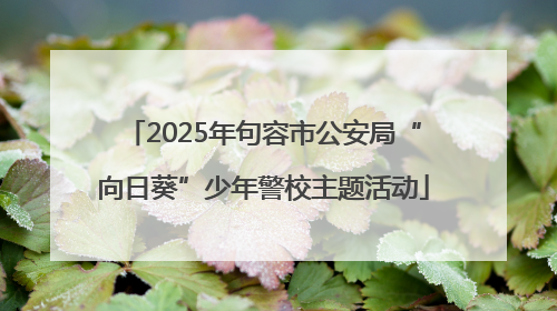2025年句容市公安局“向日葵”少年警校主题活动