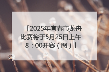 2025年宜春市龙舟比赛将于5月25日上午8：00开赛（图）