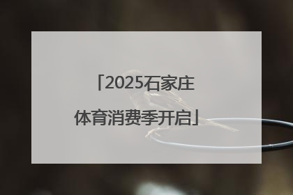 2025石家庄体育消费季开启