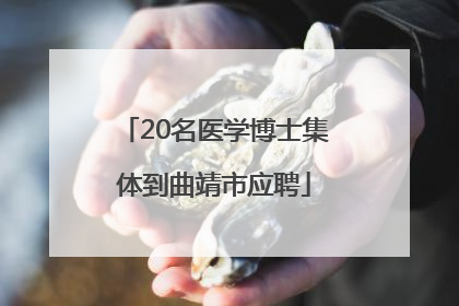 20名医学博士集体到曲靖市应聘