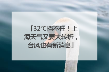 32℃挡不住！上海天气又要大转折，台风也有新消息