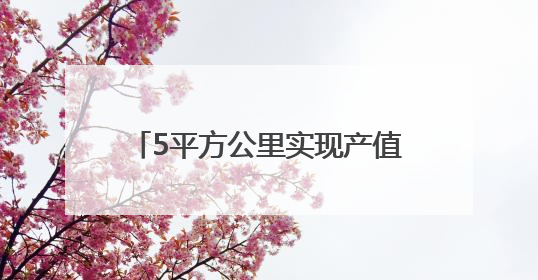 5平方公里实现产值170亿元，贵州这个小镇因“数”而生