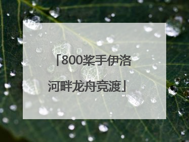 800桨手伊洛河畔龙舟竞渡