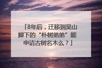 8年后，迁移到吴山脚下的“朴树弟弟”能申请古树名木么？