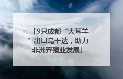 9只成都“大耳羊”出口乌干达，助力非洲养殖业发展