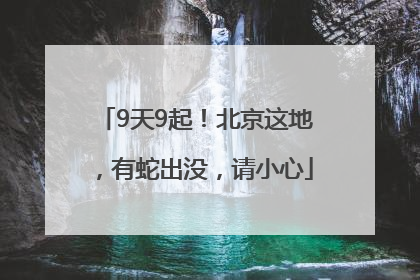 9天9起！北京这地，有蛇出没，请小心