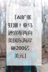AI扩张狂潮！亚马逊宣布再向美国东海岸砸200亿美元