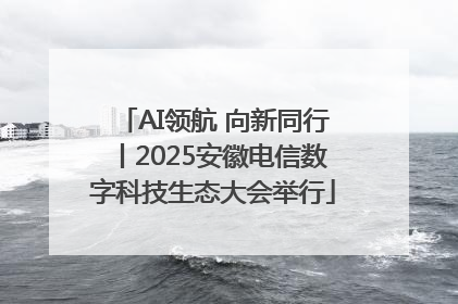 AI领航 向新同行丨2025安徽电信数字科技生态大会举行